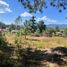  Land for sale in Tapalpa, Jalisco, Tapalpa