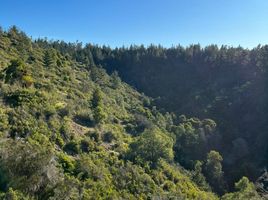  Terreno (Parcela) en venta en Chile, Pichilemu, Cardenal Caro, Libertador General Bernardo O'Higgins, Chile