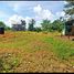  Land for sale in Bukidnon, Northern Mindanao, Libona, Bukidnon