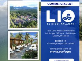  Land for sale in El Nido, Palawan, El Nido