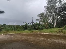  Terreno (Parcela) en venta en Santa Rosa City, Calabarzon, Santa Rosa City, Laguna