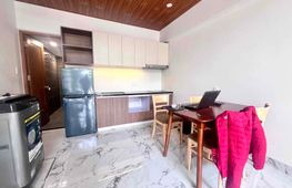 Cho thuê căn hộ, 1 PN, Cẩm Lệ
