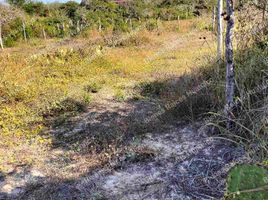  Terreno (Parcela) en venta en Dist Pochutla, Oaxaca, Dist Pochutla