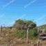  Terreno (Parcela) en venta en Dist Pochutla, Oaxaca, Dist Pochutla