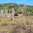  Terreno (Parcela) en venta en Dist Pochutla, Oaxaca, Dist Pochutla