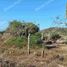  Terreno (Parcela) en venta en Dist Pochutla, Oaxaca, Dist Pochutla