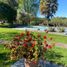  Land for sale in Chile, Puerto Varas, Llanquihue, Los Lagos, Chile