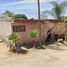 Maison 2 chambre à vendre à Guadalajara, Jalisco, Guadalajara