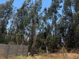  Terreno (Parcela) en venta en Chile, Coquimbo, Elqui, Coquimbo, Chile
