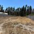  Terreno (Parcela) en venta en Chile, Coquimbo, Elqui, Coquimbo, Chile