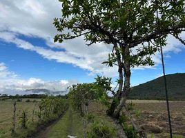  Land for sale in Nono, Quito, Nono