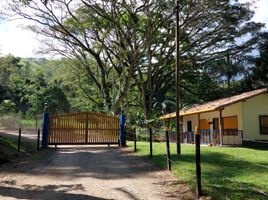  Terreno (Parcela) en venta en Bolivar, Antioquia, Bolivar