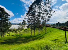 Land for sale in Marinilla, Antioquia, Marinilla
