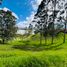  Land for sale in Marinilla, Antioquia, Marinilla