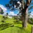  Land for sale in Marinilla, Antioquia, Marinilla