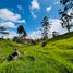  Land for sale in Marinilla, Antioquia, Marinilla