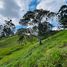  Land for sale in Marinilla, Antioquia, Marinilla