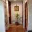 2 Schlafzimmer Wohnung zu vermieten in Zapopan, Jalisco, Zapopan