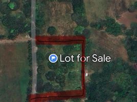  Land for sale in Bukidnon, Northern Mindanao, Libona, Bukidnon