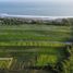  Land for sale in Tabanan, Bali, Kerambitan, Tabanan