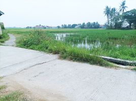  Land for sale in Tangerang, Banten, Mauk, Tangerang