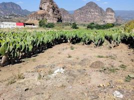  Land for sale in Tlayacapan, Morelos, Tlayacapan