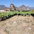  Land for sale in Tlayacapan, Morelos, Tlayacapan