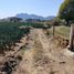  Land for sale in Tlayacapan, Morelos, Tlayacapan