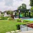  Land for sale in San Pascual, Calabarzon, San Pascual