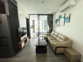 1 Phòng ngủ Căn hộ for rent in Da Nang International Airport, Hòa Thuận Tây, An Hải Tây