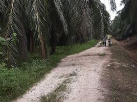  Land for sale in Sabak Bernam, Selangor, Sungai Panjang, Sabak Bernam