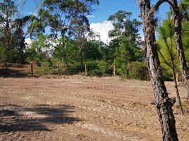  Terrain for sale in Villa De Leyva, Boyaca, Villa De Leyva