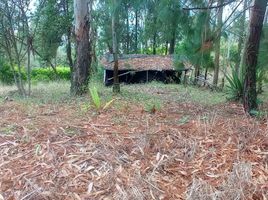  Land for sale in El Cerrito, Valle Del Cauca, El Cerrito