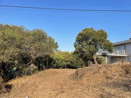  Land for sale in Rio Cuarto, Cordoba, Rio Cuarto