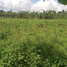 Land for sale in General Trias City, Calabarzon, General Trias City