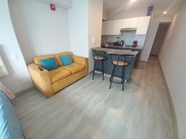 1 Habitación Apartamento en alquiler en Lima, San Isidro, Lima, Lima