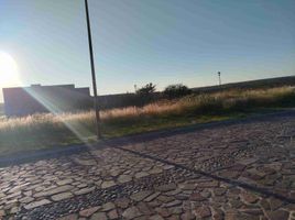  Land for sale in Lagos De Moreno, Jalisco, Lagos De Moreno