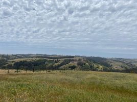  Terreno (Parcela) en venta en Cardenal Caro, Libertador General Bernardo O'Higgins, Navidad, Cardenal Caro