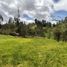  Land for sale in Azuay, Valle, Cuenca, Azuay