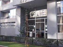 2 Bedroom Condo for rent in Chile, Puente Alto, Cordillera, Santiago, Chile