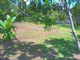  Land for sale in Del Centro, Oaxaca, Del Centro