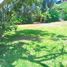  Land for sale in Del Centro, Oaxaca, Del Centro