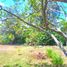  Land for sale in Del Centro, Oaxaca, Del Centro