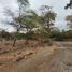  Land for sale in Guayaquil, Guayas, Guayaquil, Guayaquil, Guayas