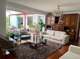 3 Bedroom Apartment for rent in San Borja, Lima, San Borja