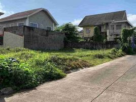  Terreno (Parcela) en venta en Binan City, Calabarzon, Binan City, Laguna, Calabarzon, Filipinas