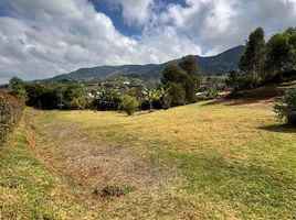  Terreno (Parcela) en venta en El Carmen De Viboral, Antioquia, El Carmen De Viboral