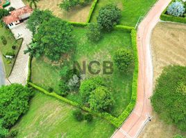  Terrain for sale in Anapoima, Cundinamarca, Anapoima