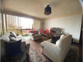 Appartement 3 chambre à vendre à San Borja, Lima, San Borja, Lima, Lima