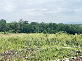  Land for sale in Bogor, West Jawa, Jasinga, Bogor